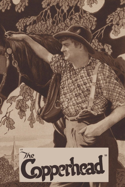 Movie poster for The Copperhead (1920)