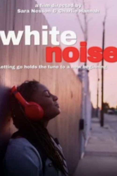 Movie poster for White Noise