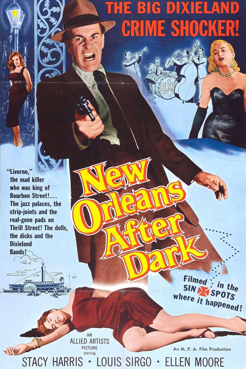 Movie poster for New Orleans After Dark (1958)