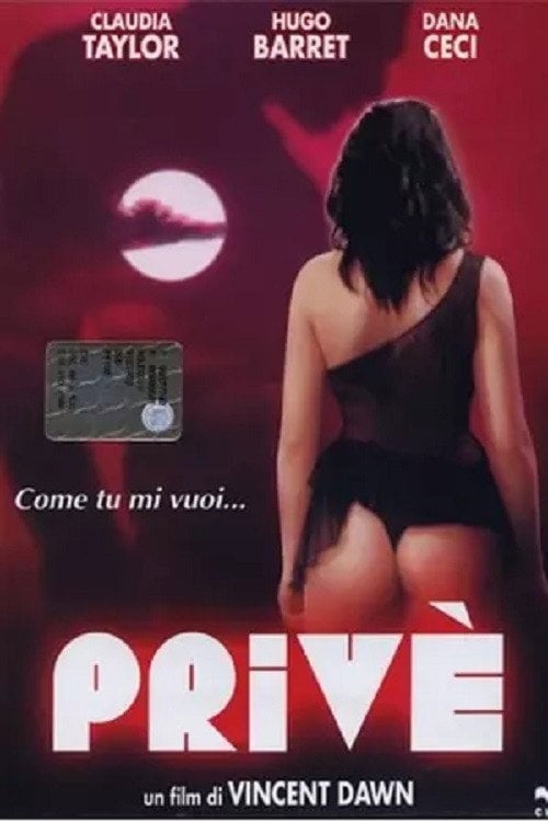 Movie poster for The Other Woman (2002)