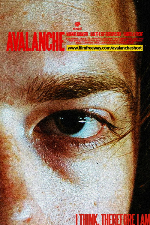 Movie poster for Avalanche (2024)