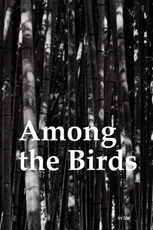 Movie poster for Among the Birds (2019)