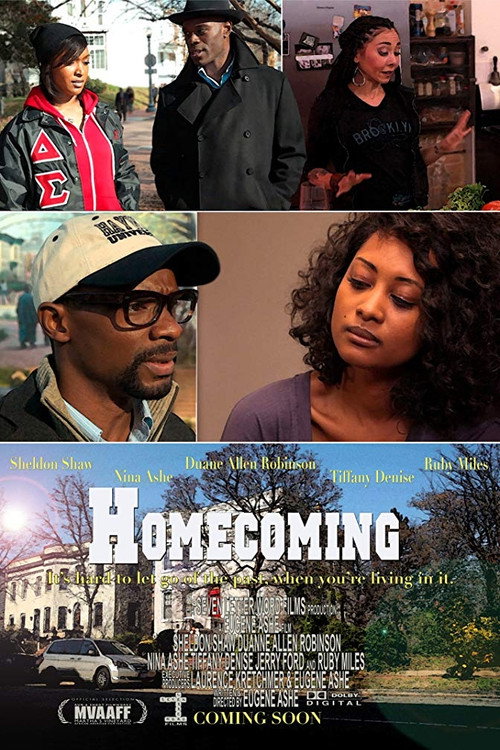 Movie poster for Homecoming (2013)