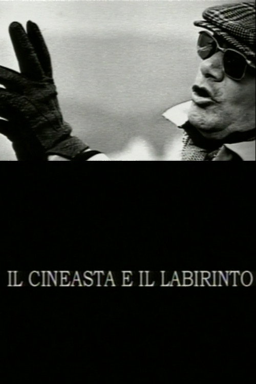 Movie poster for The Filmmaker and the Labyrinth (2004)