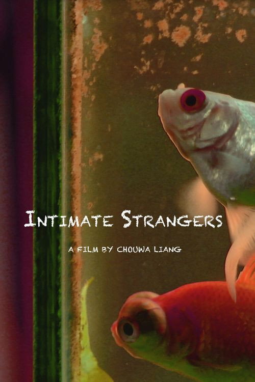 Movie poster for Intimate Strangers (2020)