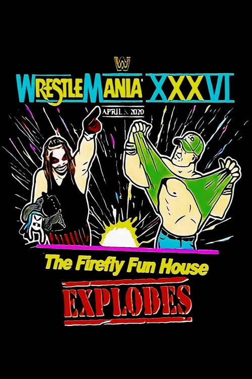 Movie poster for The Firefly Funhouse Match (2020)