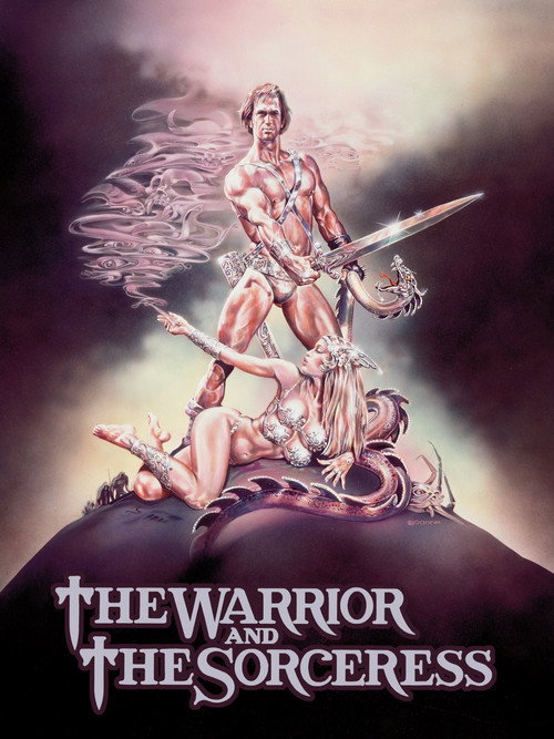 Movie poster for The Warrior and the Sorceress (1984)