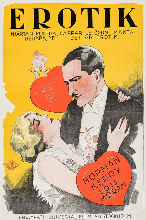 Movie poster for The Irresistible Lover (1927)