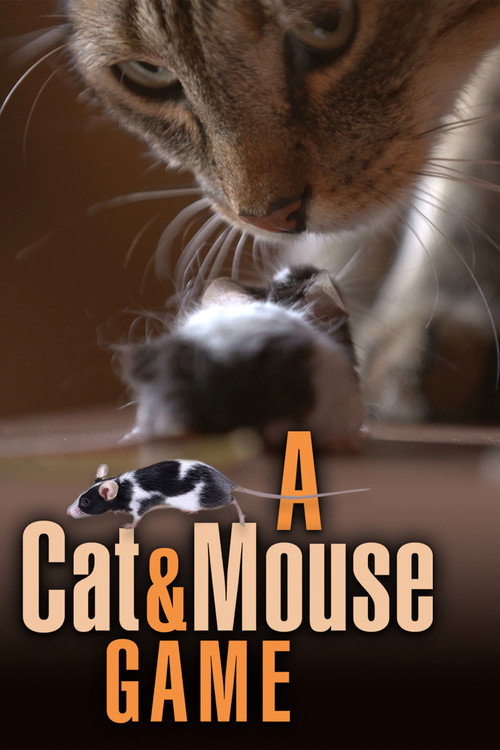 Movie poster for A Cat and Mouse Game (2019)
