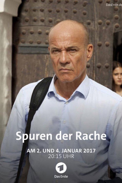 Movie poster for Spuren der Rache (2016)