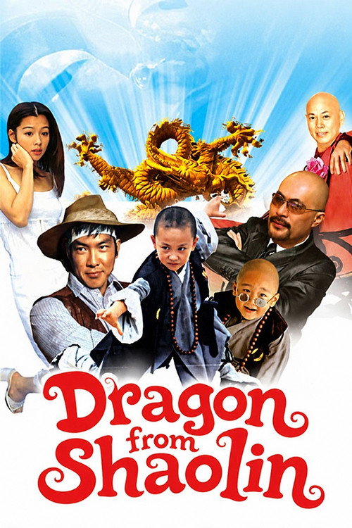 Movie poster for Dragon from Shaolin (1996)