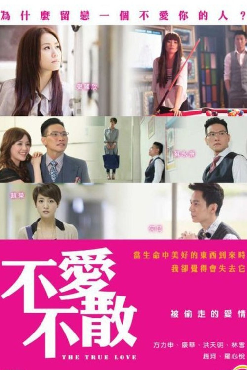 Movie poster for The True Love (2014)