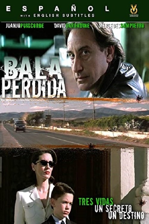 Movie poster for Lost Bullet (2003)