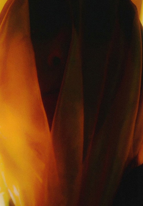 Movie poster for the House of Horror (2021)