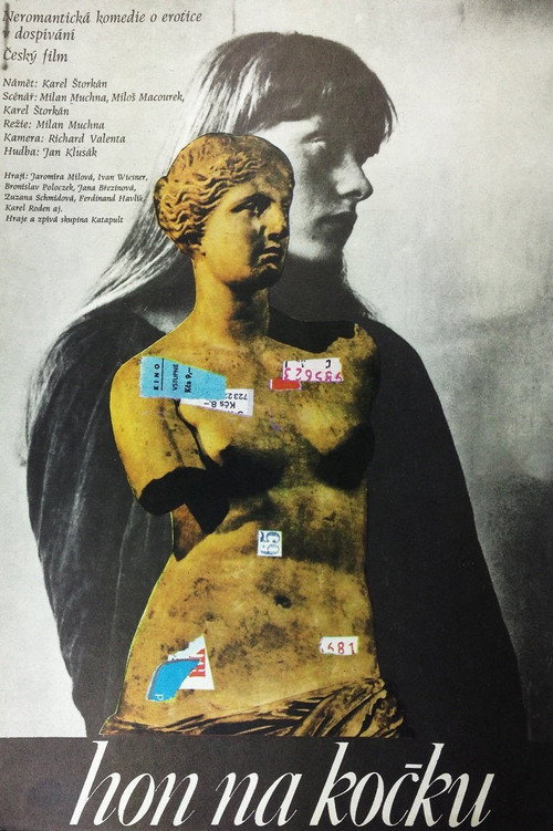 Movie poster for Hon na kočku (1980)