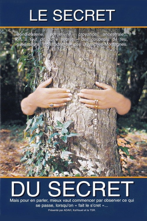 Movie poster for The Secret of the Secret (2000)