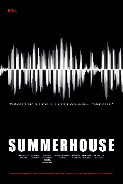 Movie poster for Summerhouse (2018)