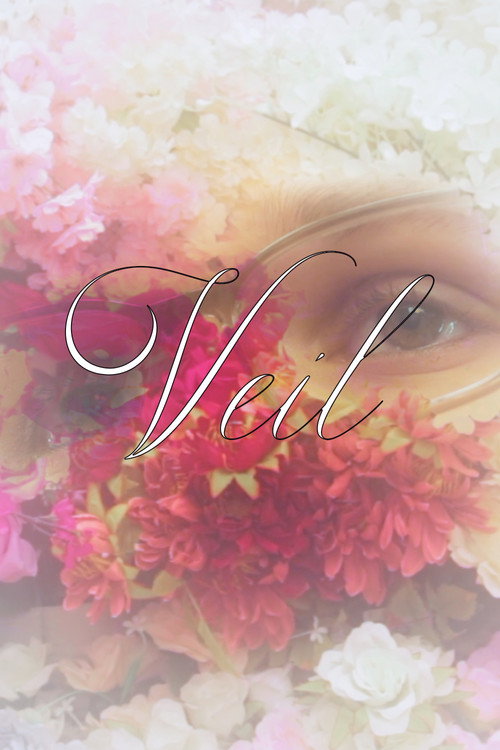 Movie poster for Veil (2024)
