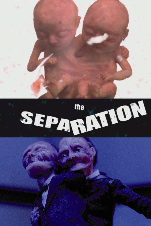 Movie poster for The Separation (2003)