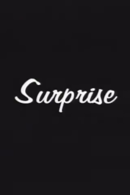 Movie poster for Surprise (2002)