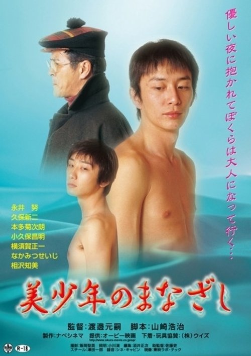 Movie poster for The Gaze of a Beautiful Boy (2003)