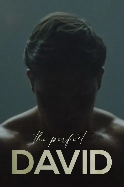 Movie poster for The Perfect David (2021)