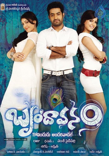 Movie poster for Brindavanam (2010)