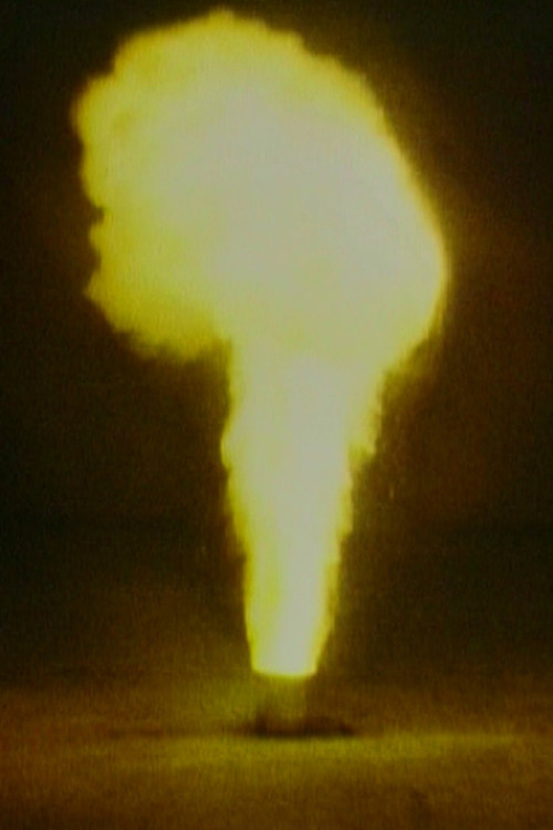Movie poster for Fire (1982)