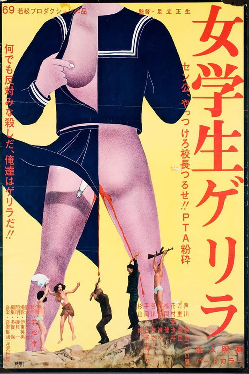 Movie poster for Female Student Guerrilla (1969)