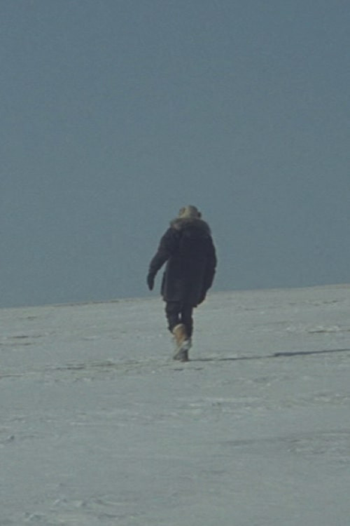 Movie poster for Une Histoire de Cheveux (Sibérie) (2021)