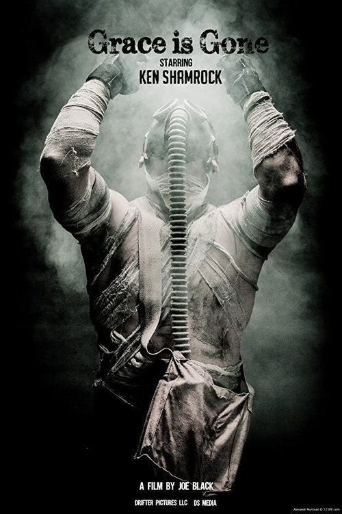 Movie poster for Grace is Gone (2019)