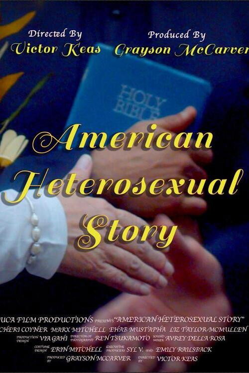 Movie poster for American Heterosexual Story (2024)