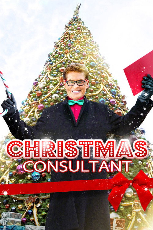 Movie poster for The Christmas Consultant (2013)