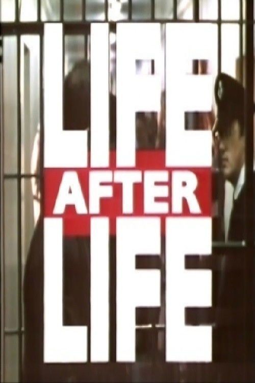 Movie poster for Life After Life (1995)