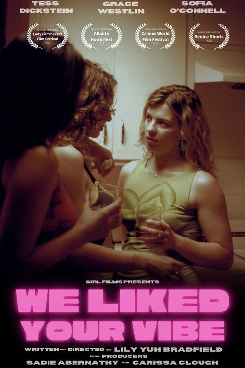 Movie poster for We Liked Your Vibe (2025)