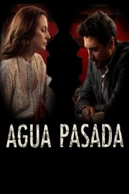 Movie poster for Expired water (2011)
