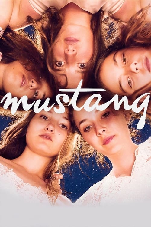 Movie poster for Mustang (2015)