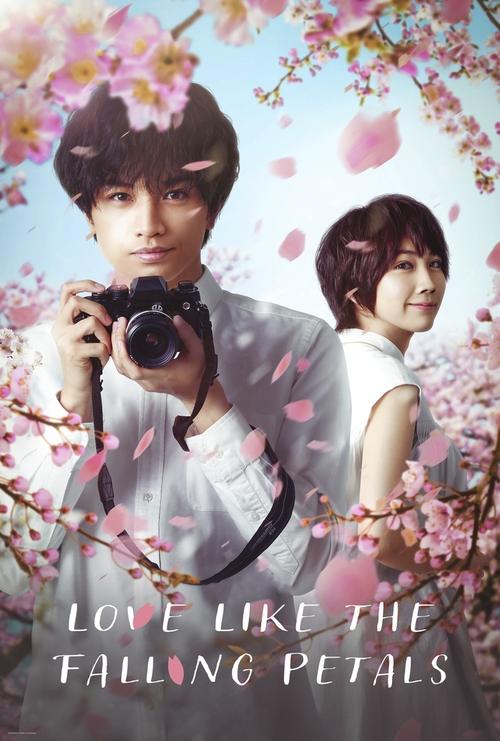 Movie poster for Love Like the Falling Petals (2022)