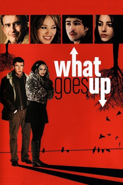 Movie poster for What Goes Up (2009)