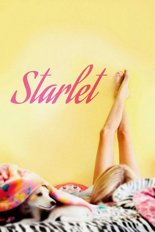 Movie poster for Starlet (2012)