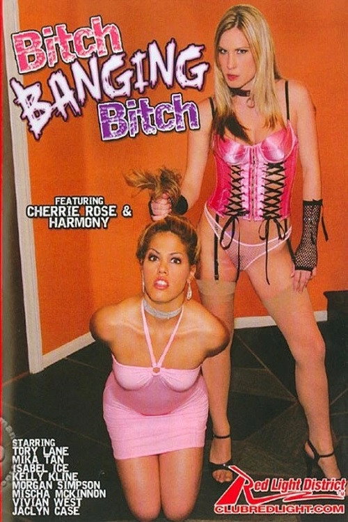 Movie poster for Bitch Banging Bitch (2006)
