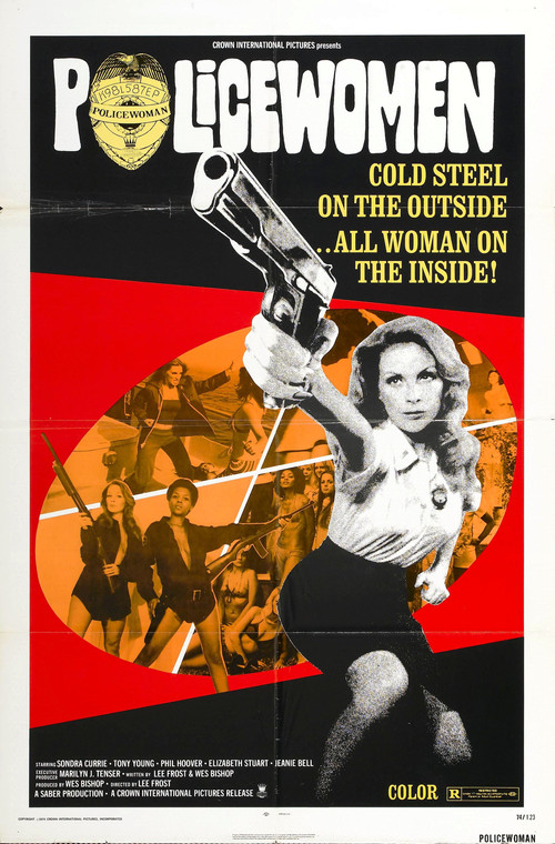 Movie poster for Policewomen (1974)