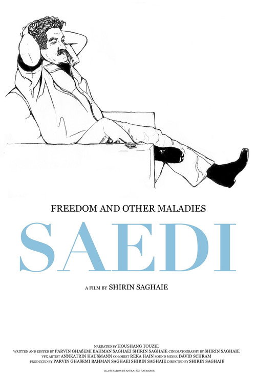 Movie poster for Freedom and Other Maladies (2016)