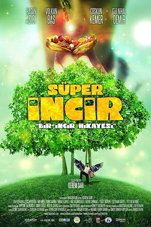 Movie poster for Super Fig (2013)