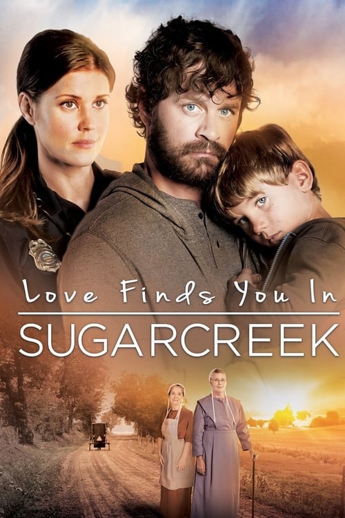 Movie poster for Love Finds You In Sugarcreek (2014)