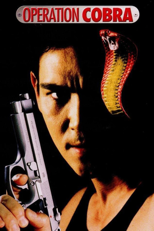 Movie poster for Operation Cobra (1997)