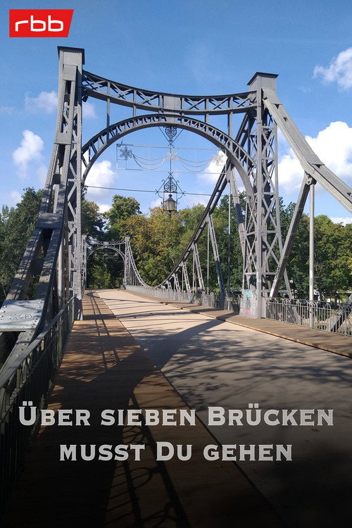 Movie poster for Über sieben Brücken musst du gehen (2020)