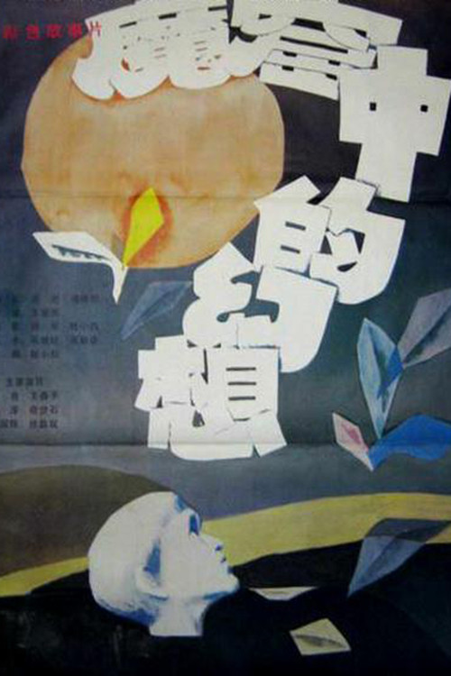 Movie poster for Visions from a Jail Cell (1986)