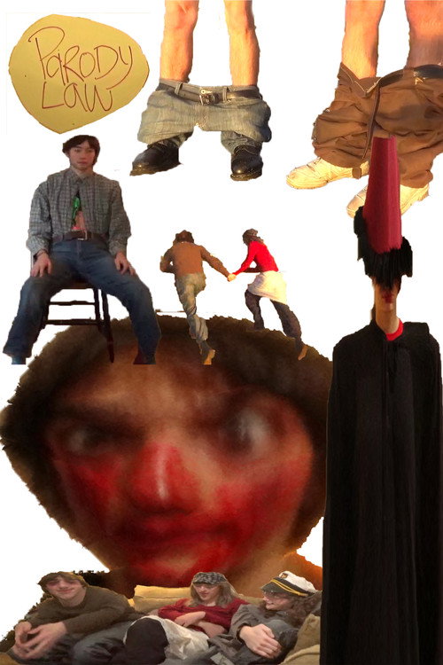 Movie poster for Parody law (2025)