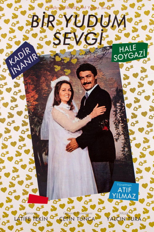 Movie poster for A Sip of Love (1984)